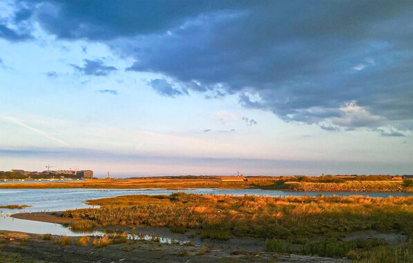 Un paysage côtier avec une rivière, des zones marécageuses et, au loin, la silhouette d’une ville.