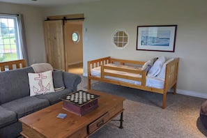 Smart TV, DVD player, books, video library