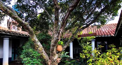 1800’s Spaniard Casona