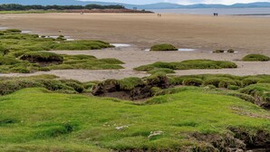 Una platja amb zones enjardinades i una vista llunyana de muntanyes.
