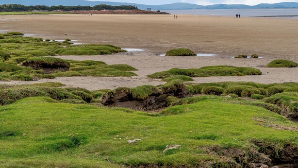Una playa con zonas verdes y una vista distante de montañas.