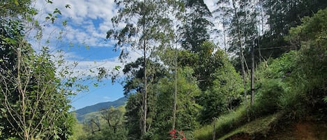 Terrain de lâhĂ©bergement