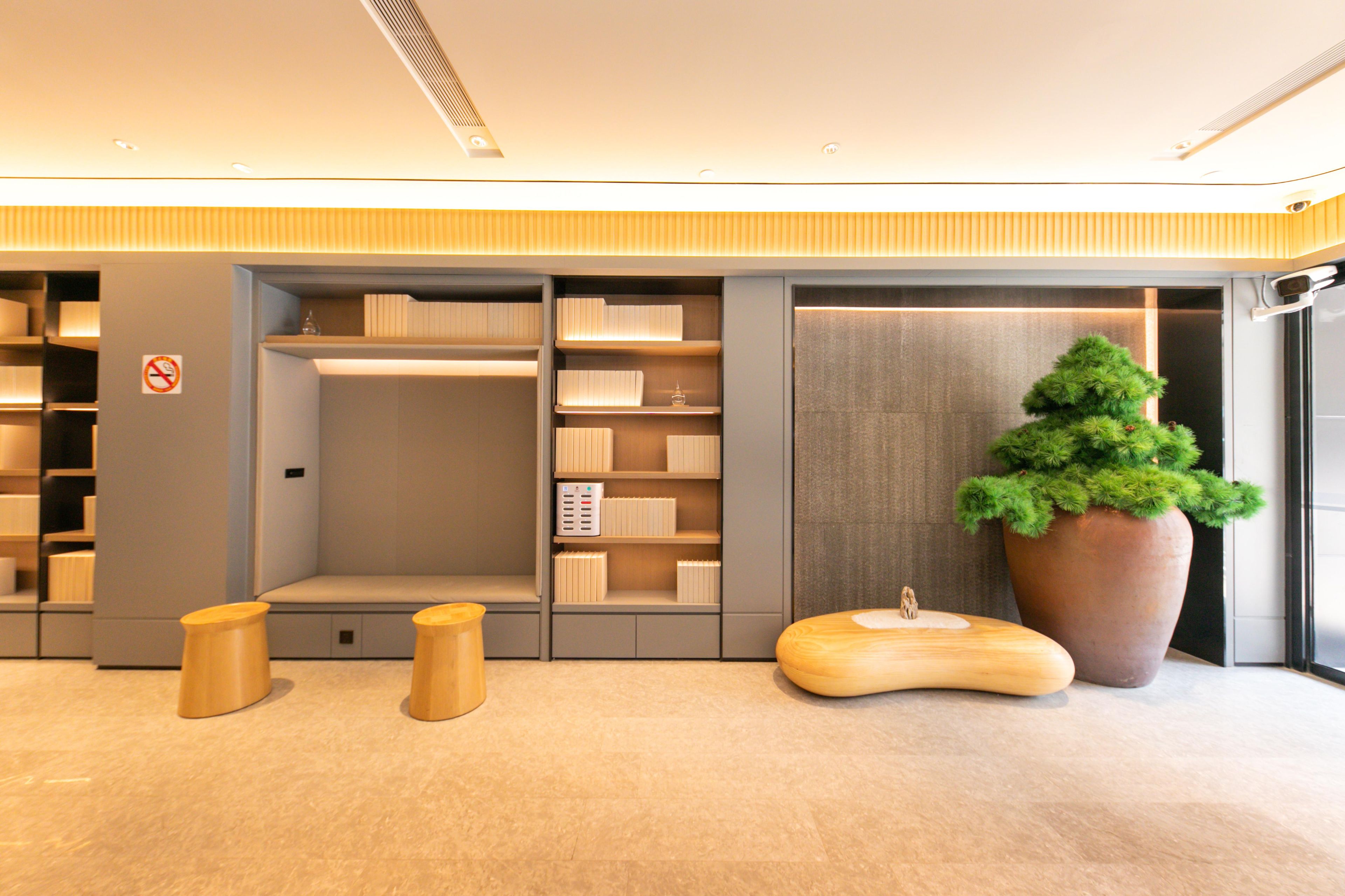 Ein modernes Interieur mit einer großen Topfpflanze, Holzschemeln und eingebauten Regalen.