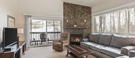 TV, fireplace, DVD player