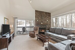 TV, fireplace, DVD player