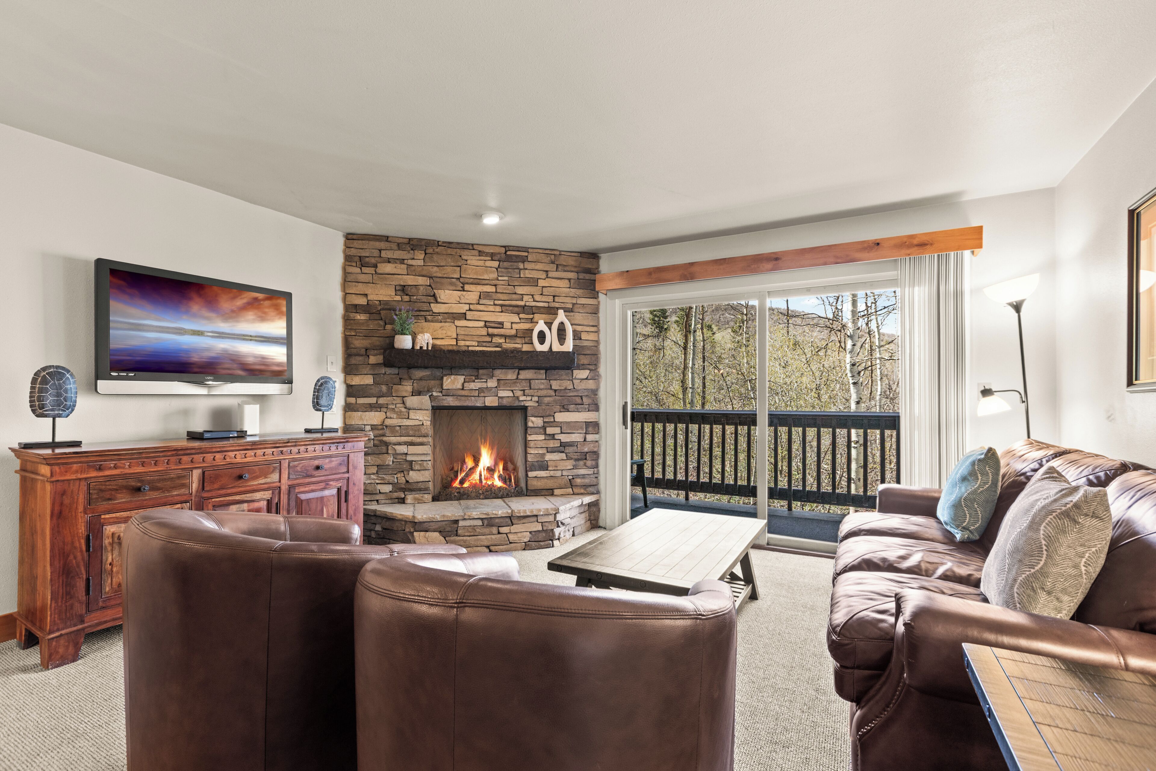 TV, caminetto, lettore DVD