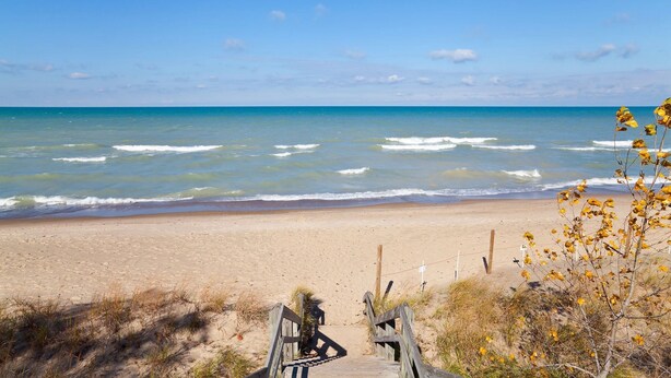A beach with a wooden walkway leading to the water, surrounded by dry grass and yellow flowers. - Big Family House 5 Minutes from Lake Michigan/Blue Chip Casino/Brewery/Wineries! (Michigan City)