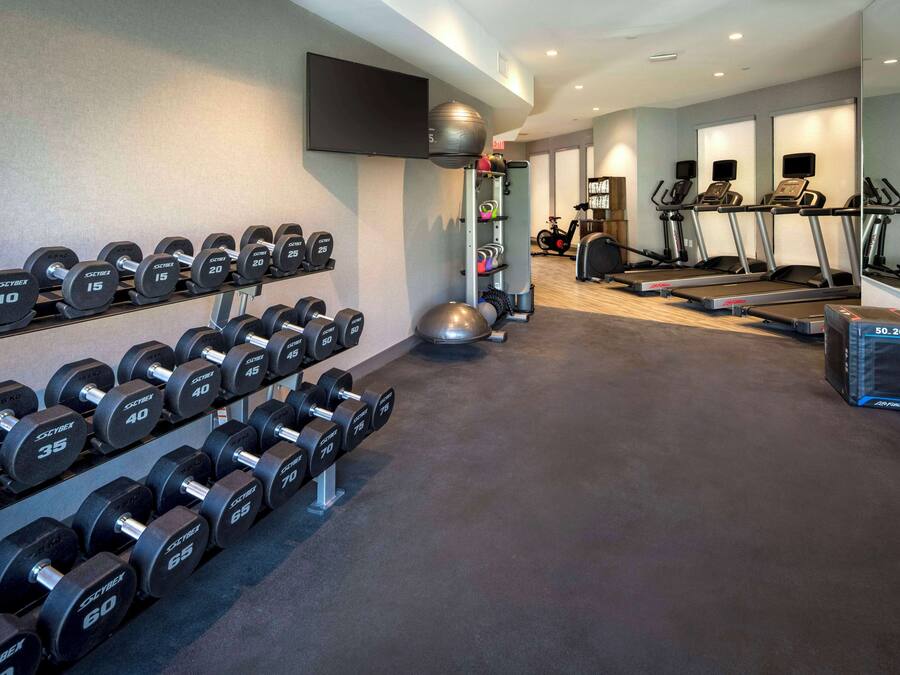 A gym with rows of dumbbells, treadmills, and exercise balls.