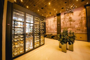 Bar (en la propiedad)