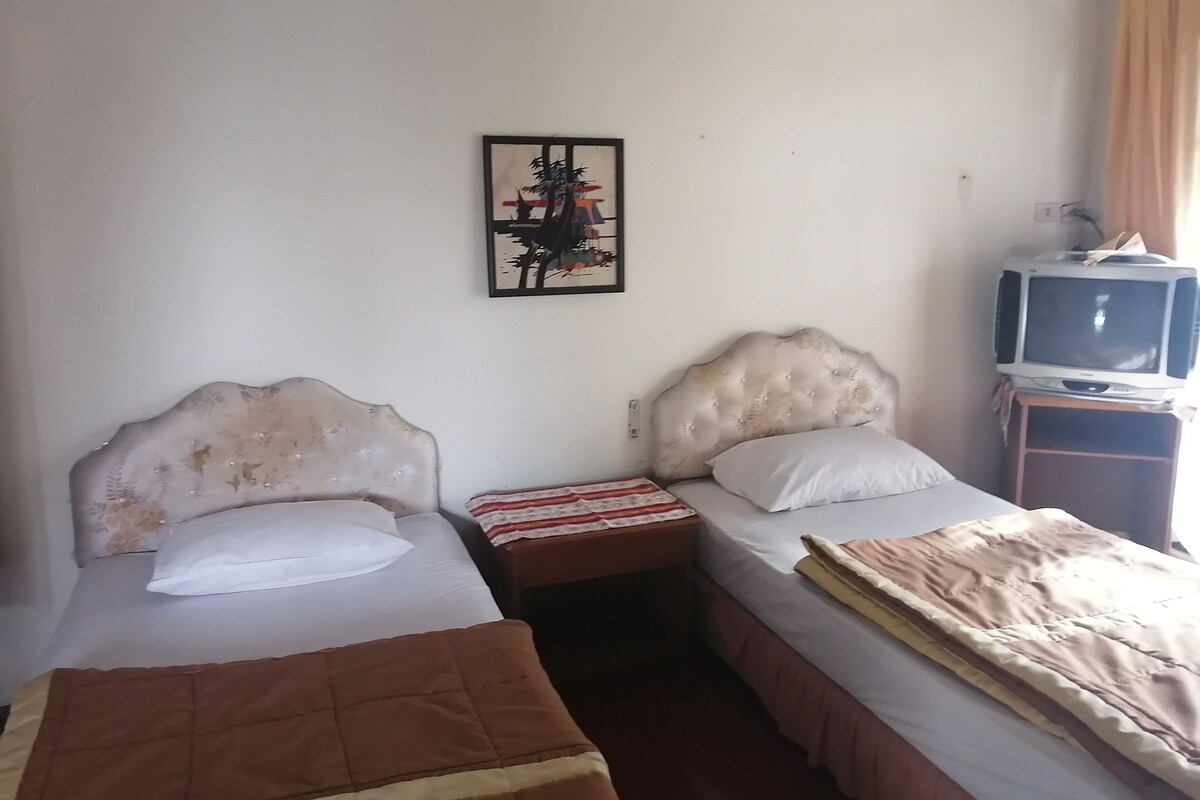 A room with two single beds, a television on a stand, and a wall-mounted picture.