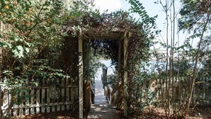 A wooden pathway leading through a garden with a wooden archway. - Lakefront Home Close to the Beach! Sleeps 16 (Santa Rosa Beach)