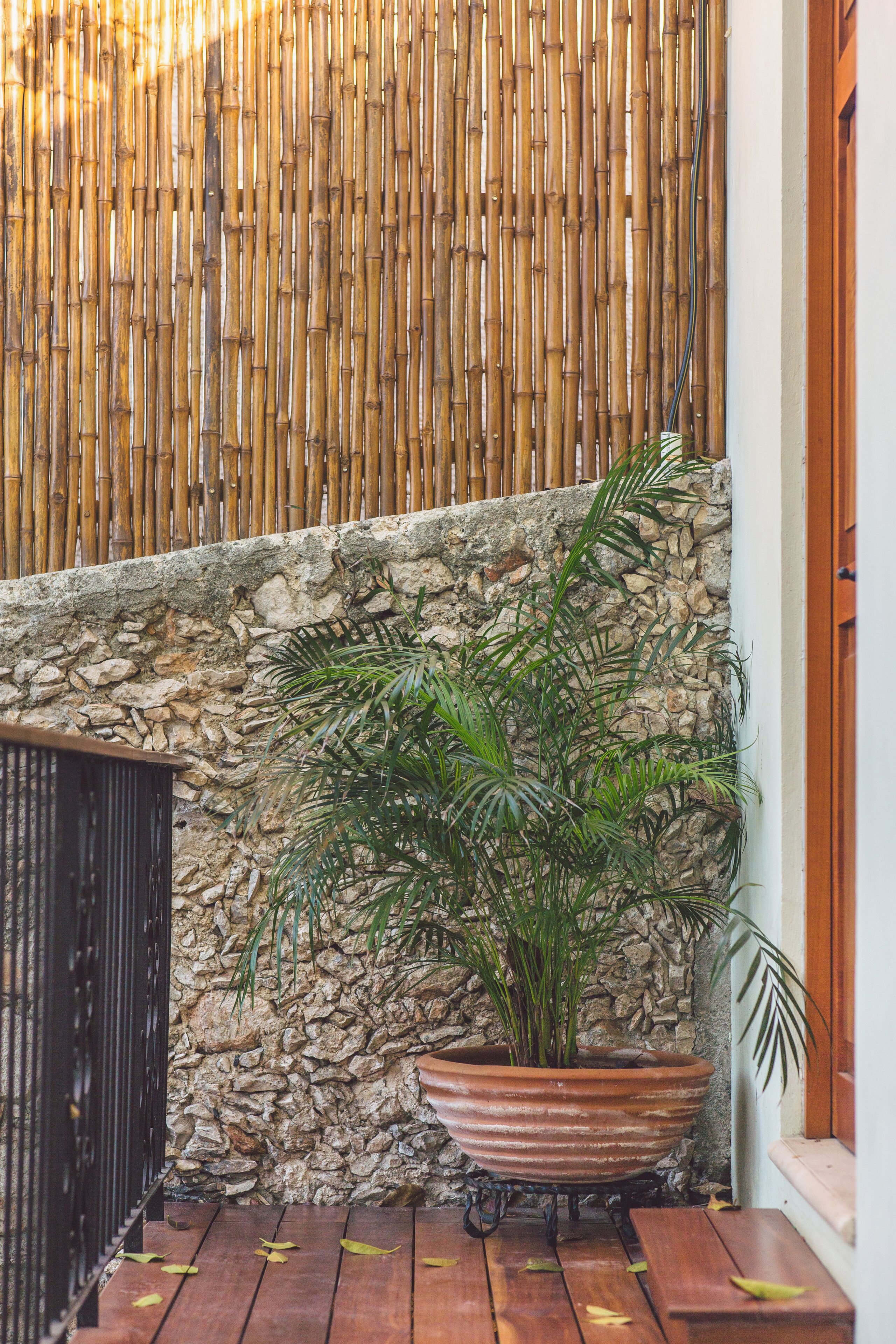 Un rincón con pared de piedra, valla de bambú y planta en maceta.