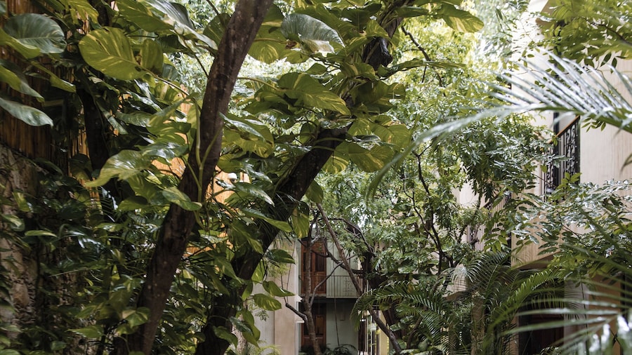 TreeHouse Boutique Hotel - Adults Only