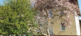 Lovingly guest apartments Alpirsbach - Apartment 3