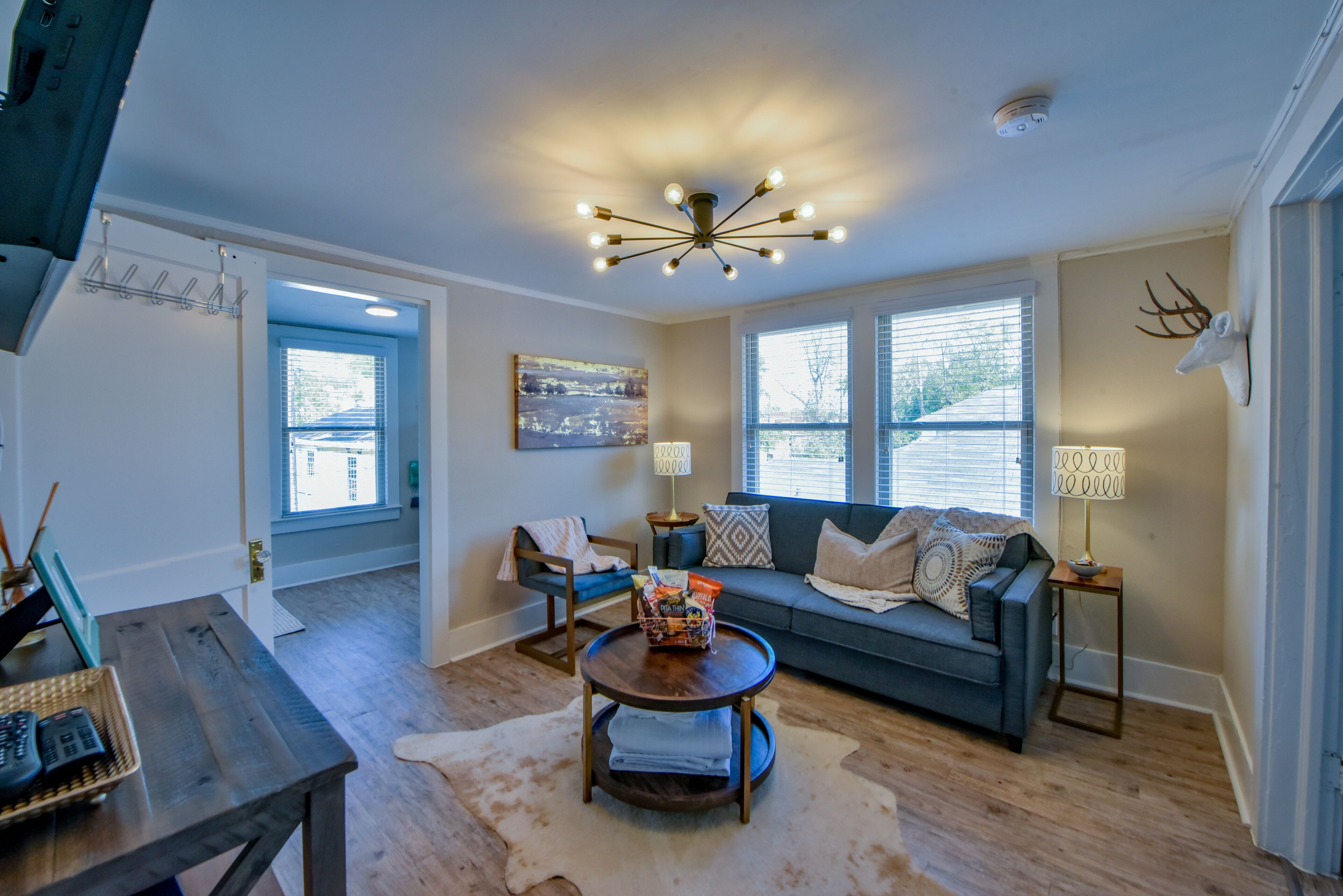 TV connectée, cheminée, lecteur de DVD, livres