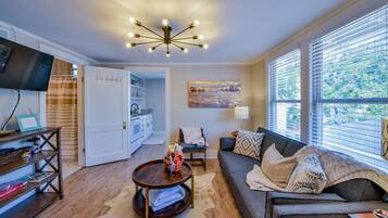 TV connectée, cheminée, lecteur de DVD, livres