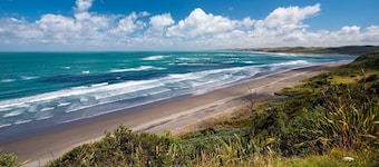 Cosy Raglan Studio — Walk to Beach & Village - Roberts St - (Downstairs)