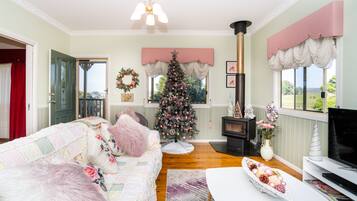 Tv, eldstad och dvd-spelare