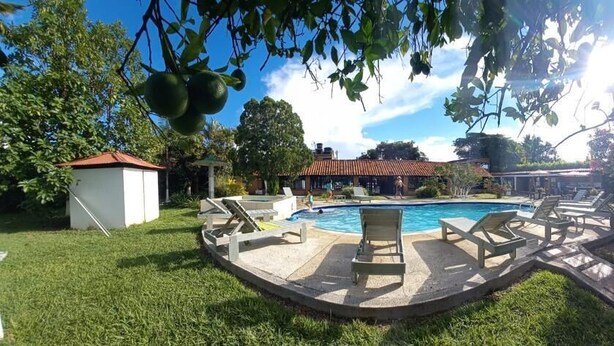 Un jardin avec une piscine, des chaises longues et un petit abri de jardin.