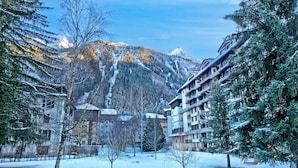 Un paysage enneigé avec une montagne en arrière-plan, un bâtiment à plusieurs étages et plusieurs arbres.