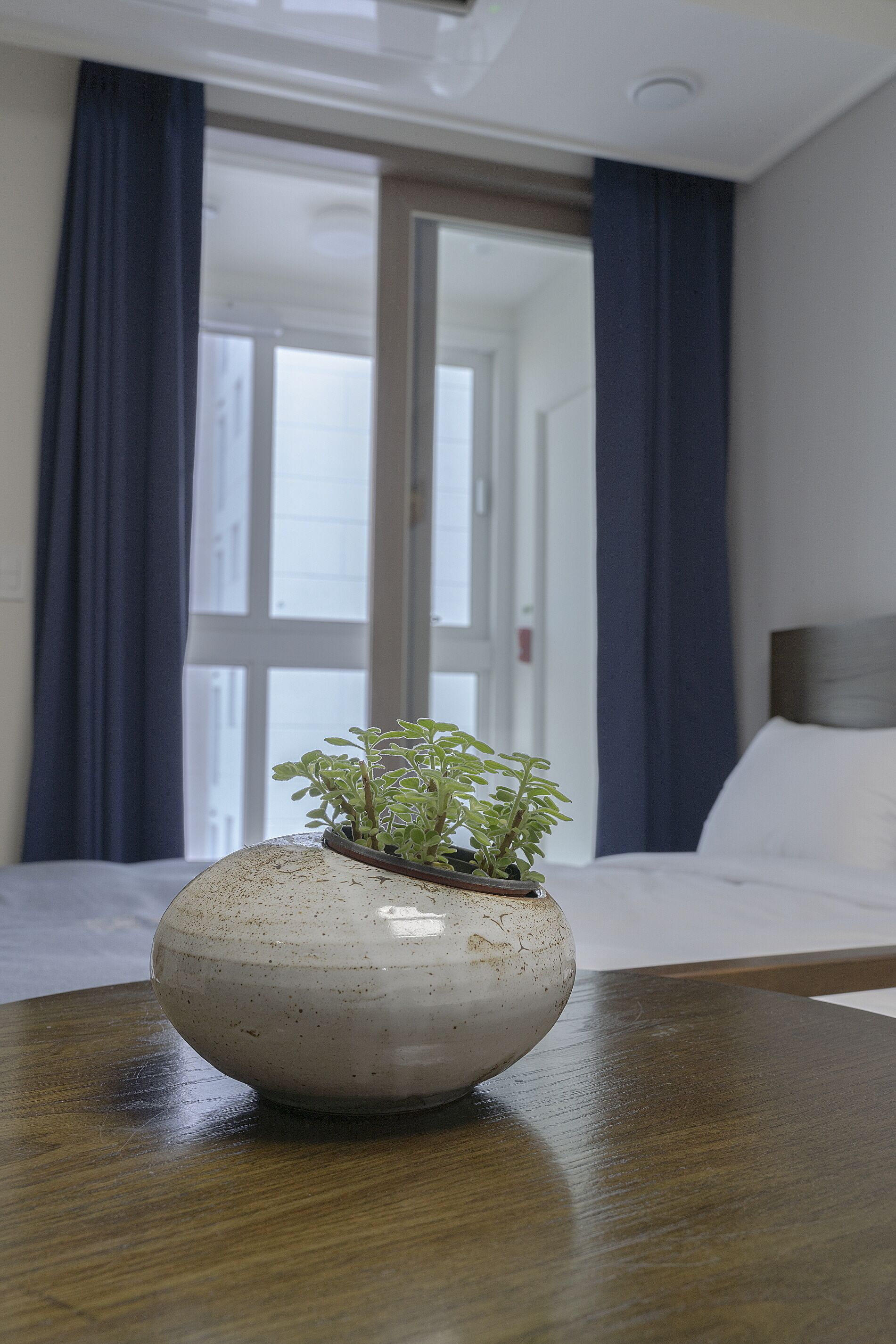 Een kamer met een bed, een raam met gordijnen en een bloempot op een houten tafel.