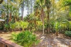 A tropical garden with various palm trees and dense foliage.
