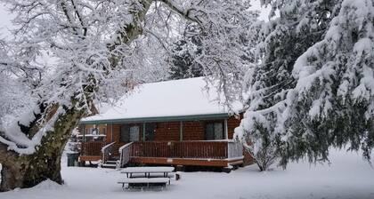 Cozy Cabin in a River Community