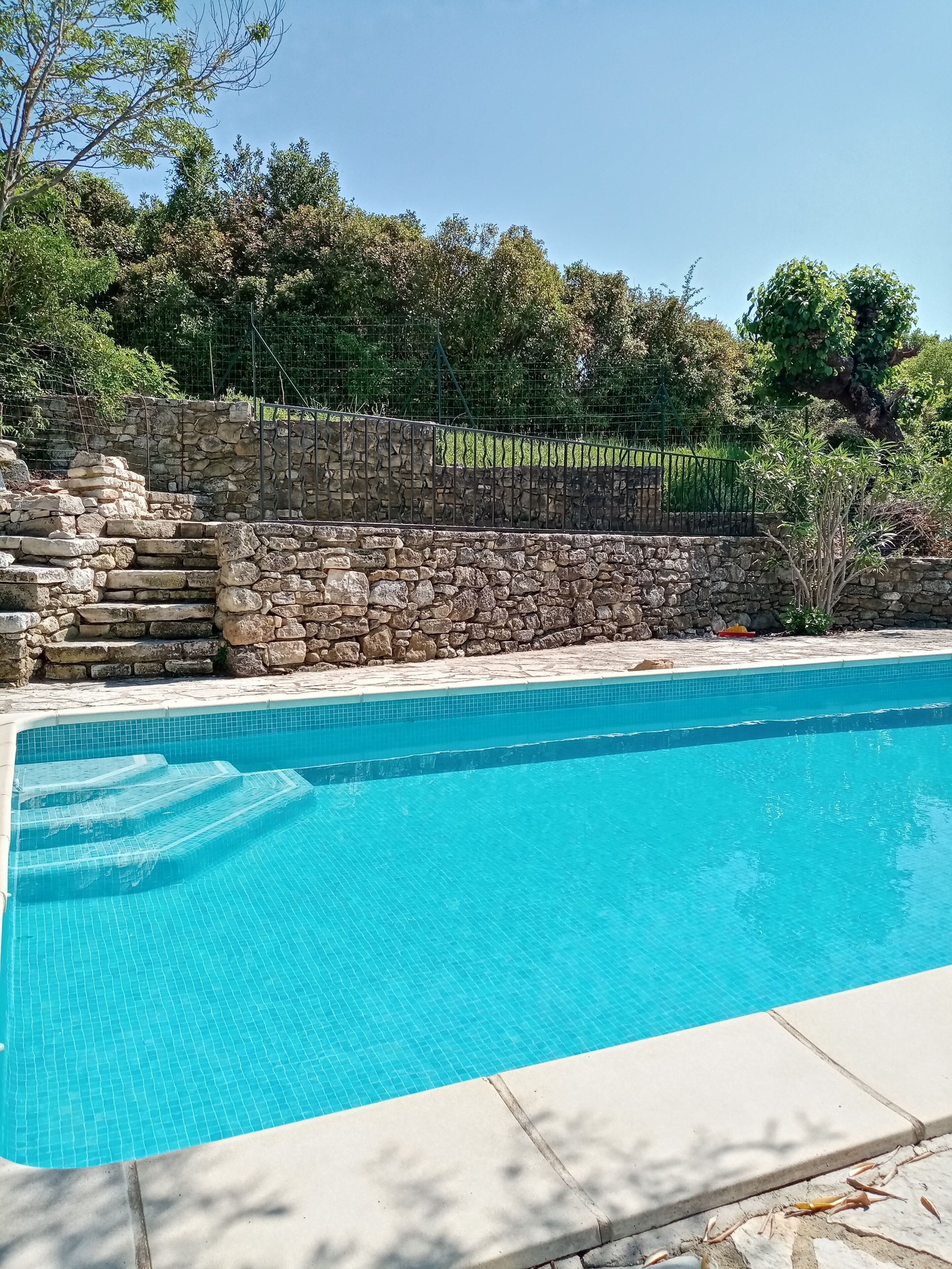 A clear blue swimming pool with stone steps leading up to a stone wall, surrounded by greenery.