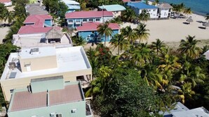 A coastal residential area with houses, palm trees, and a beach.