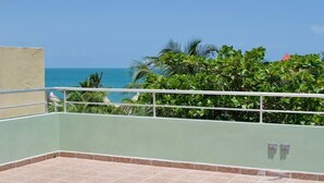 A balcony with a view of the ocean and lush greenery.
