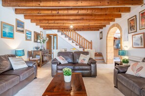 Televisión, chimenea, consola de videojuegos, reproductor de DVD