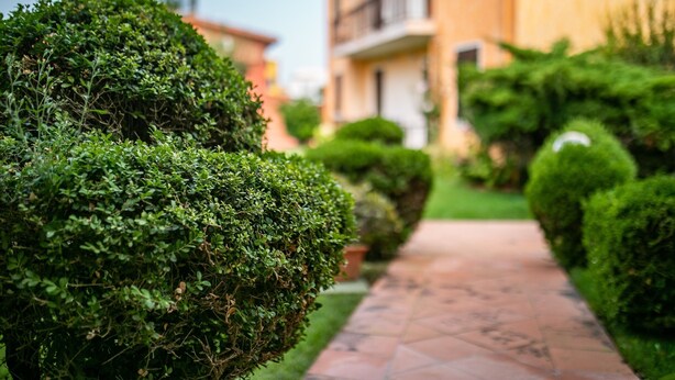 A pathway flanked by well-maintained hedges and a building with balconies. - Apartment  Azalea with Balcony & Wi-Fi (Valledoria)