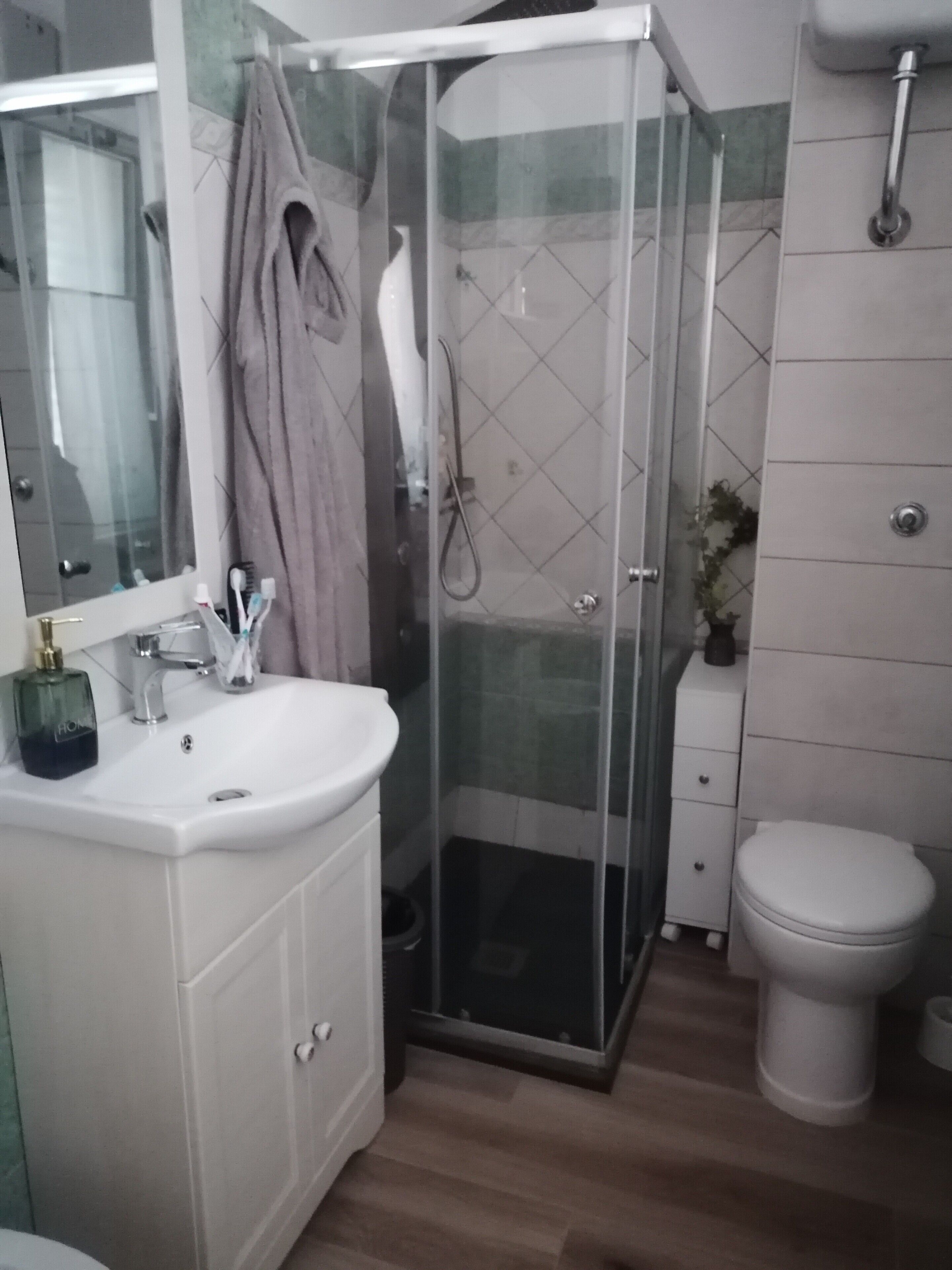Dusche, Haartrockner, Handtücher