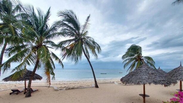 A beach with palm trees and thatched umbrellas. - Harbour Key Cottages (Malindi)