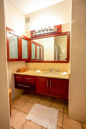 Shower, hair dryer, towels, shampoo