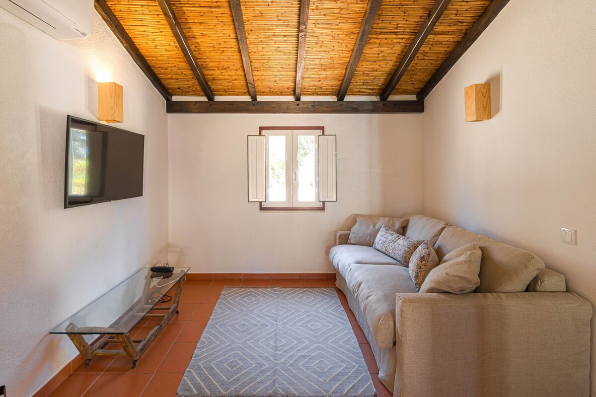 A living room with a sofa, a TV, a glass table, and a patterned rug.