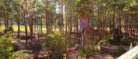 المنطقة المحيطة بالمنشأة