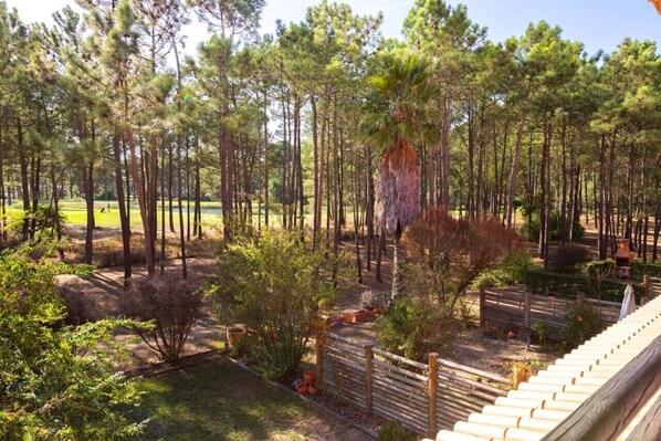 Overnatningsstedets område