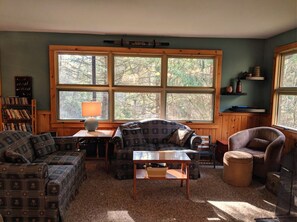 TV, fireplace, DVD player