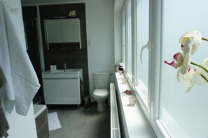 أحواض استحمام، مجففات شعر، مناشف، ورق حمّام