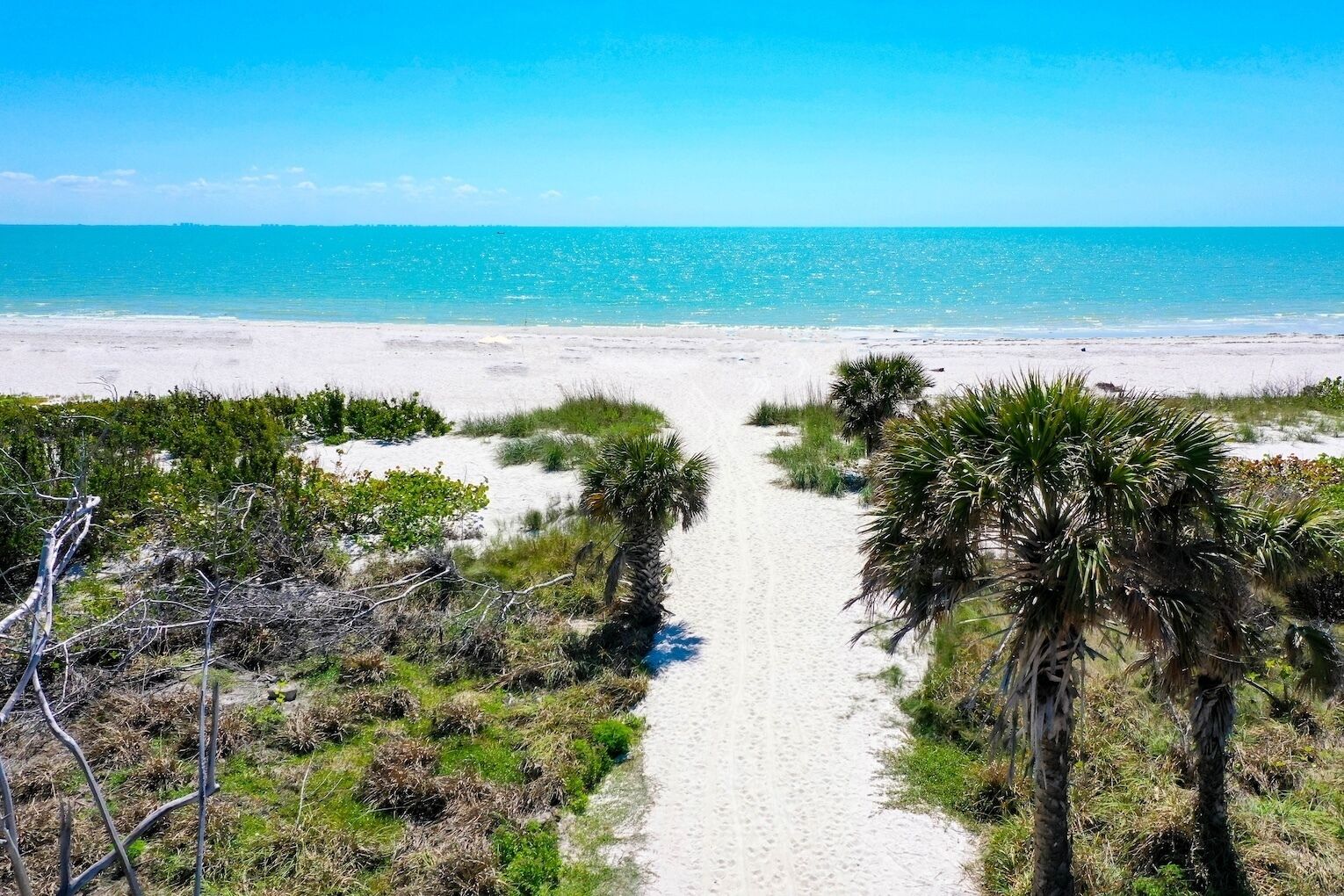 Playa en los alrededores 