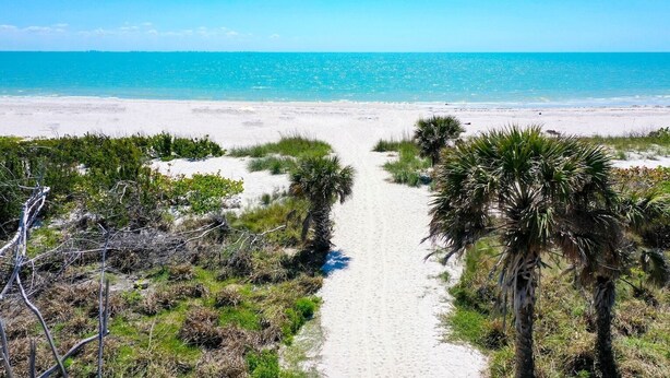 Ein Strandweg führt zum Meer, gesäumt von Palmen und Sträuchern.