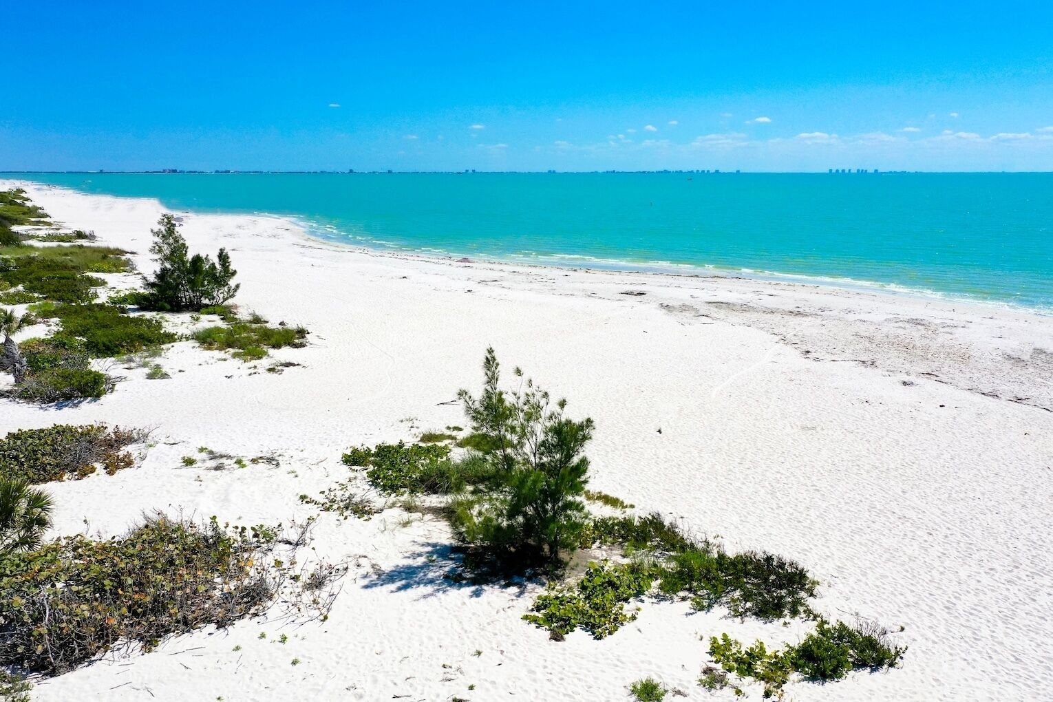 Una playa de arena blanca y agua turquesa cristalina. Hay unos arbustos verdes dispersos y algunos árboles a lo largo de la orilla.