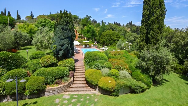 A landscaped garden with a pool, stone steps, and various trees.