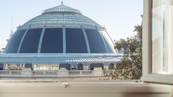 Un grand bâtiment à la coupole de verre et au toit métallique, vu depuis une fenêtre donnant sur un arbre et une clôture.