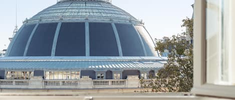 Un edificio grande con cúpula de vidrio y techo de metal, visto desde una ventana que da a un árbol y una valla.