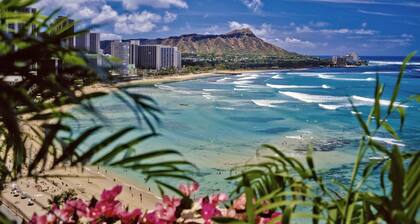Hawaiian Monarch 2010 Condo by RedAwning