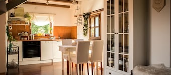 Green Hills Cottage in Croatia with magnificent view