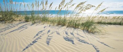 Accommodatie ligt op het strand