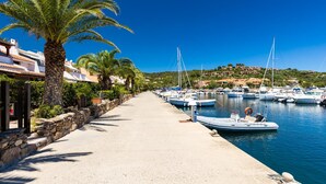 A marina with boats docked along a paved walkway lined with palm trees and stone walls.